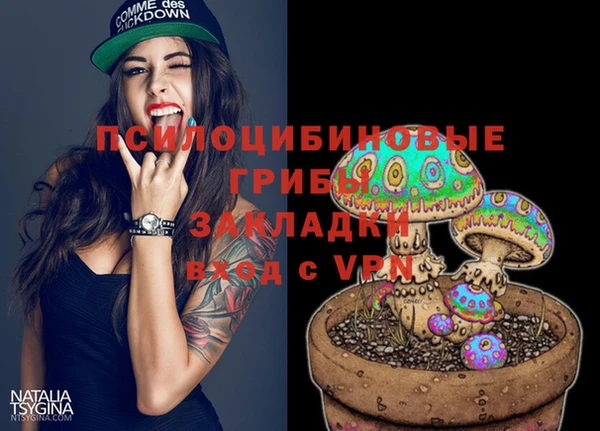 крисы Балахна